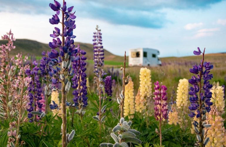 Energia Solar Em Motorhome