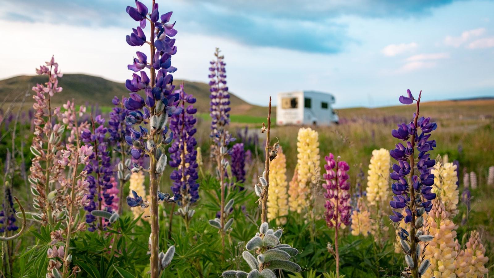 Energia Solar Em Motorhome