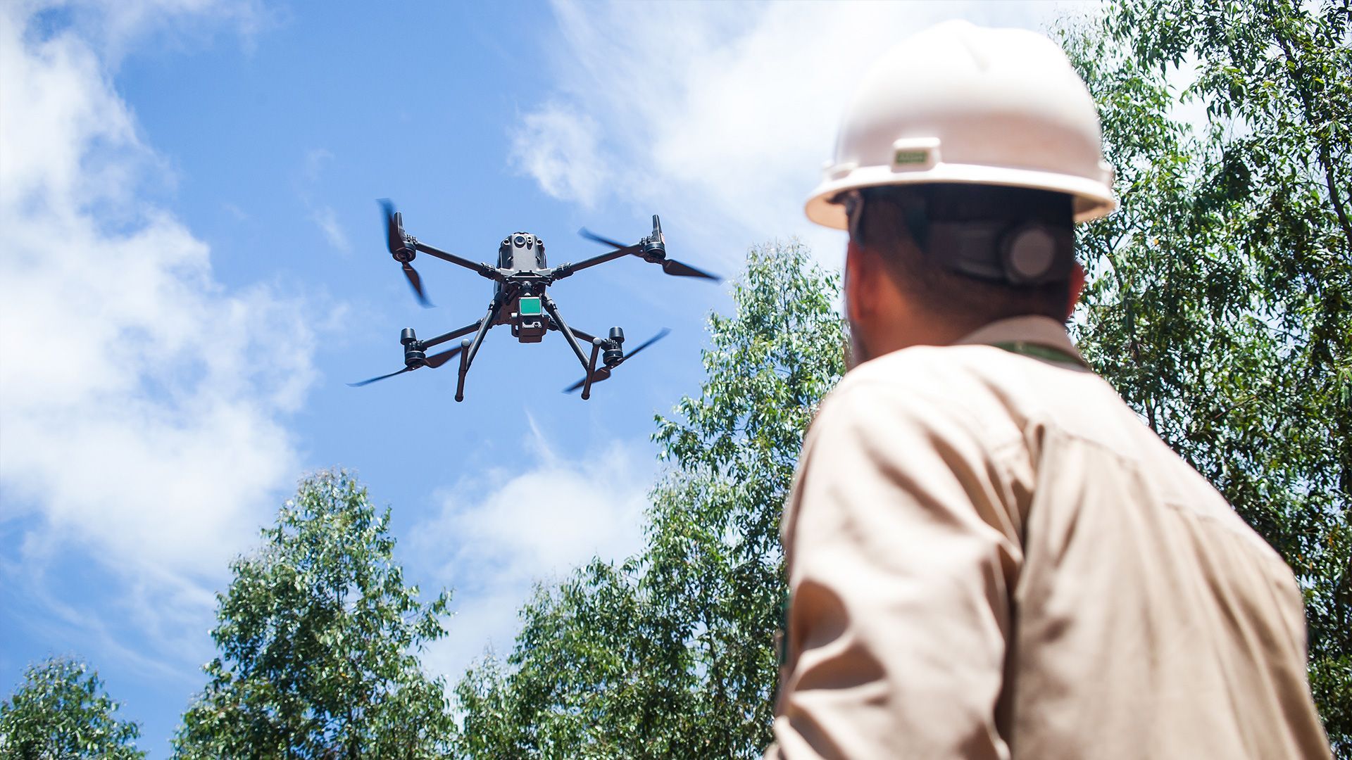 Tecnologias Ajudam No Mapeamento E Preservação Florestal