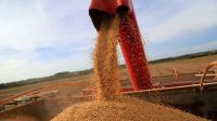 Importações De Soja Do Brasil Pela China Aumentam 13,9% Em Julho