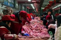 Abpa: Exportação E Produção De Carne Suína Do Brasil Devem Crescer Em 2025