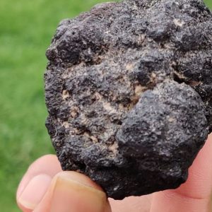 Antes Da Cop30, Setor Mineral Se Compromete A Ampliar Uso De Renováveis 8 Antes Da Cop30, Setor Mineral Se Compromete A Ampliar Uso De Renováveis