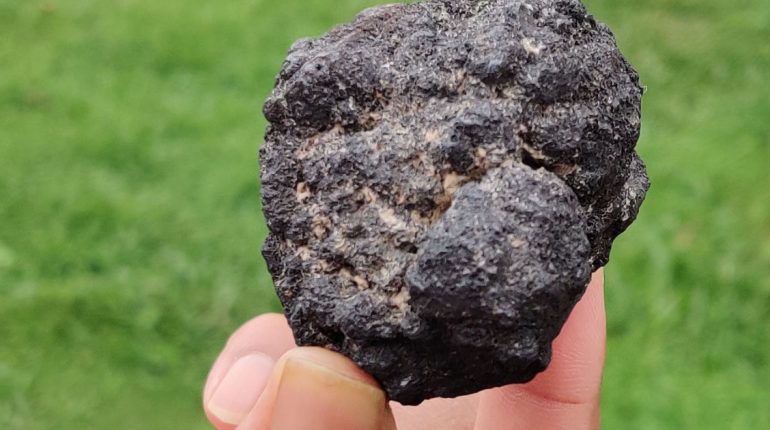 Antes Da Cop30, Setor Mineral Se Compromete A Ampliar Uso De Renováveis 5 Antes Da Cop30, Setor Mineral Se Compromete A Ampliar Uso De Renováveis