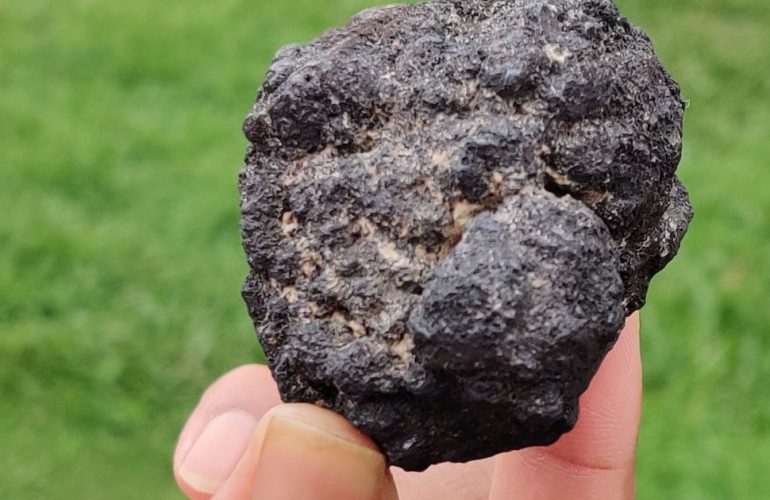 Antes Da Cop30, Setor Mineral Se Compromete A Ampliar Uso De Renováveis 7 Antes Da Cop30, Setor Mineral Se Compromete A Ampliar Uso De Renováveis